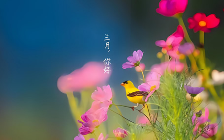 互联网+院前急救/ 5G急救系统天荣医疗-三月您好！