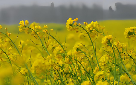 迈心诺血氧/急诊急救信息化系统天荣医疗-惊蛰后，春暖花开的季节要开始啦！