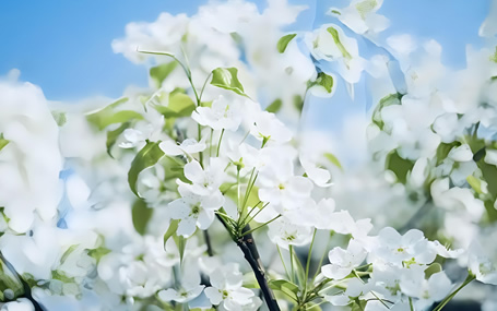 5G急救系统/院前急救信息传输天荣医疗-又到周末，出去走走吧！