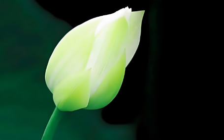 急诊急救信息化系统/智能急救系统天荣医疗-2024清明放假的通知！