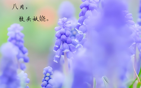 masimo血氧/远程移动监护天荣医疗-夏将去，秋又来！