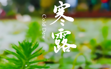 5G音视频远程会诊/急诊急救信息化系统天荣医疗-寒露时节，注意保暖！