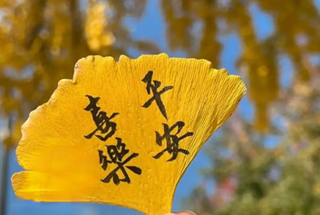 5G音视频远程会诊/智慧急救系统天荣医疗-你好，十二月｜让所有温暖，都如约而至