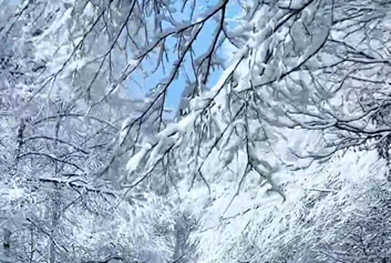 互联网+院前急救/5G音视频远程会诊天荣医疗-大雪节气过后，日子慢下来，温暖藏起来