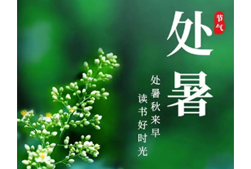 5G应急救援/院前院内协同救治天荣医疗-处暑落幕，夏意收梢，万物归于清宁